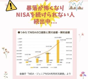 NISA暴落